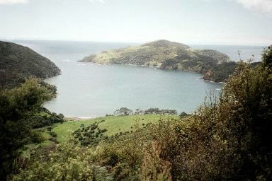 Whangamumu Bay