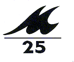 Merit 25 Logo